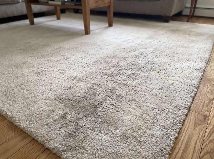 Alfombra 6 m² después de la higienización