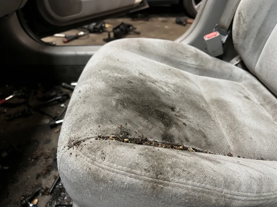 Coche · Antiolores antes de la limpieza