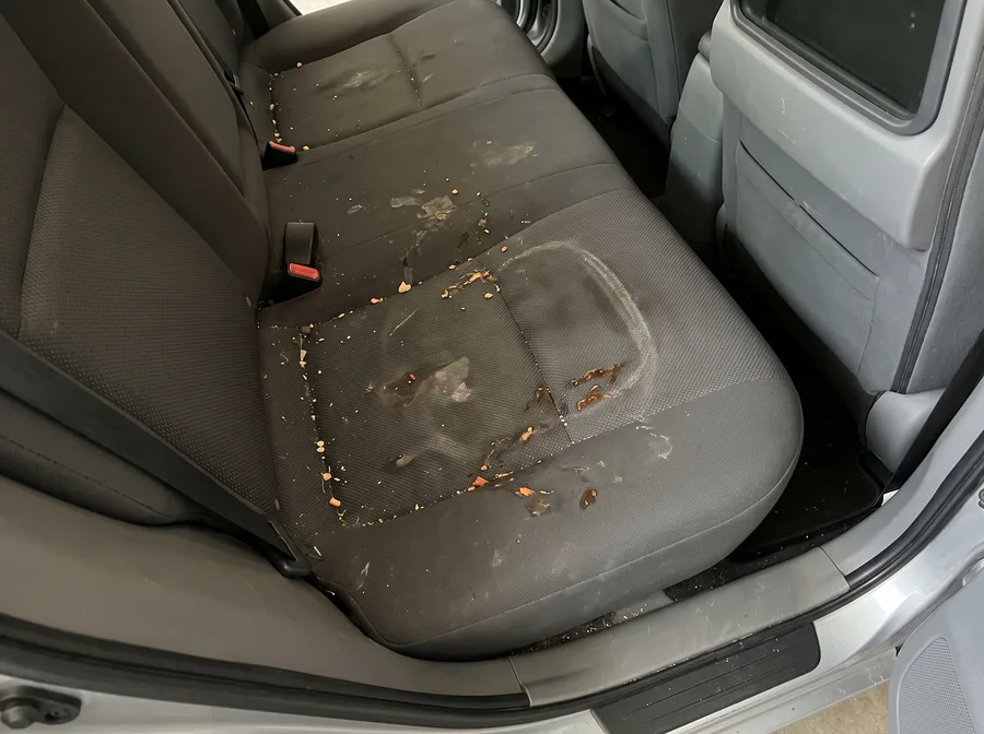 Coche · asientos traseros antes de la limpieza