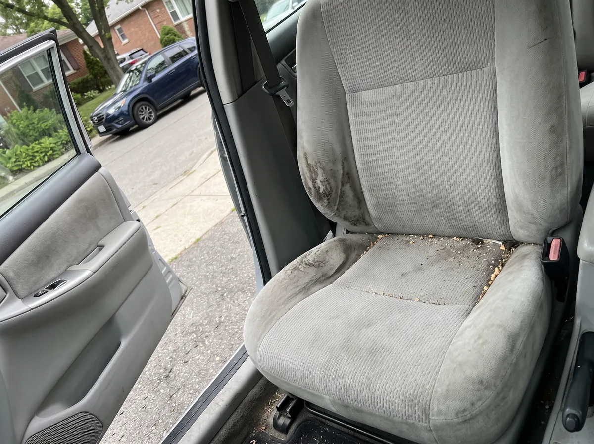 Coche · asiento conductor antes de la limpieza